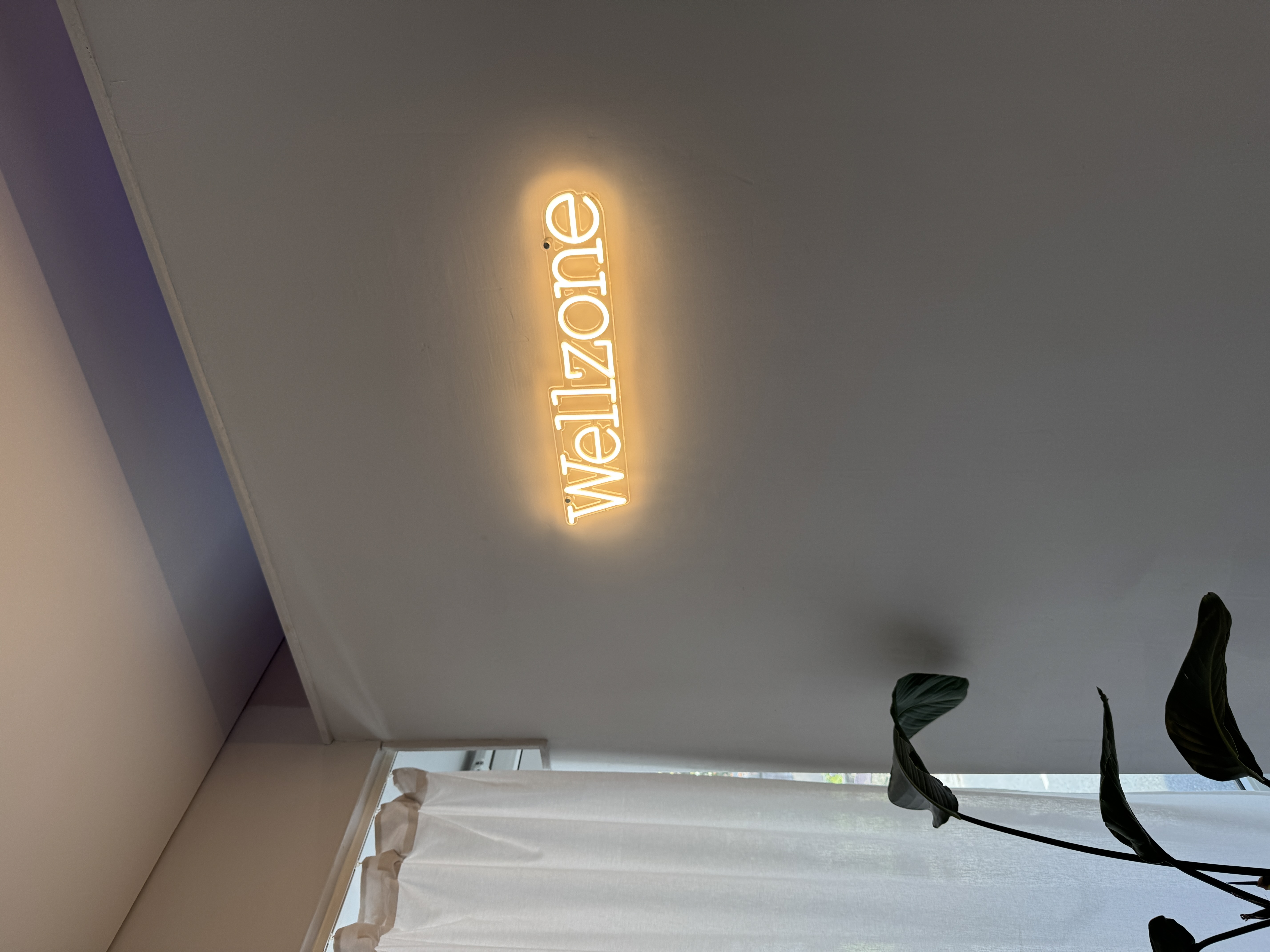 Wellzone Neon-Schild
